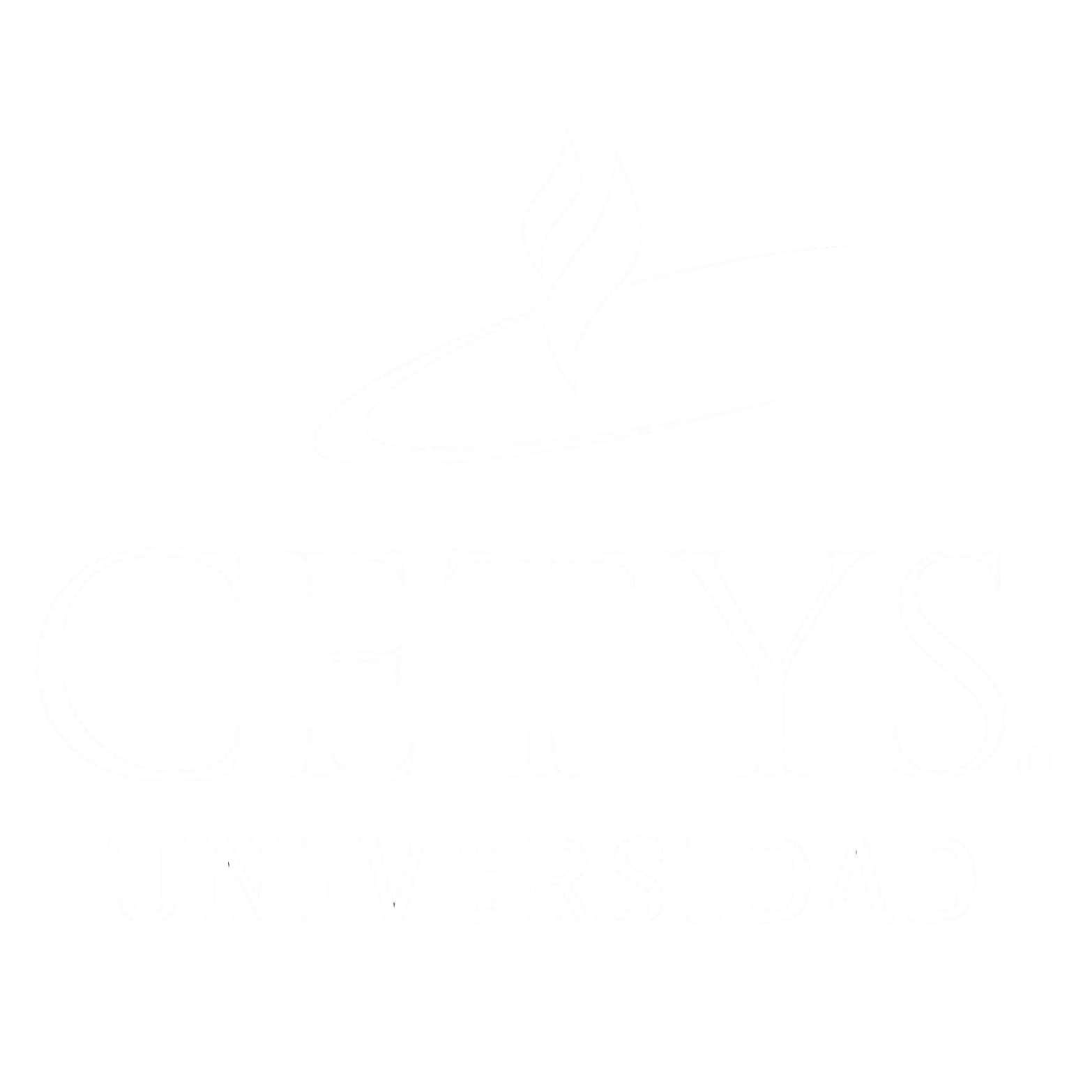 Logo organizador 2